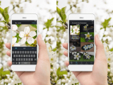 Shutterstock’s Reverse Image Search is Now Available for Mobile