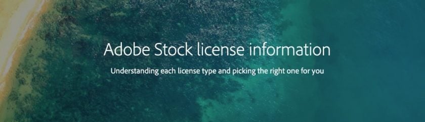 9394C4C1 598A 492A ACED E0B21679FCFC 4 5005 c > Shutterstock vs Adobe Stock: Which One is Best in [wpsm_custom_meta type=date field=year]