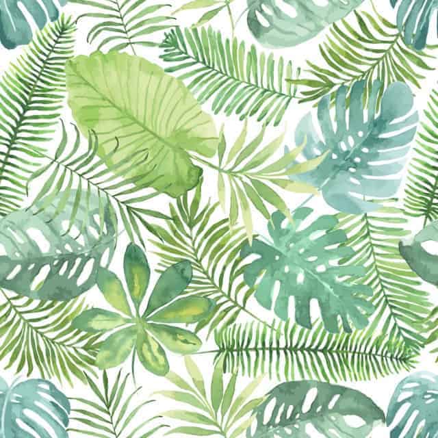 The 60 Most Downloaded Images in 2018 from Top Stock Photo Agencies Compared Adobe Stock Most Downloaded Seamless Pattern Watercolor Tropical Leaves