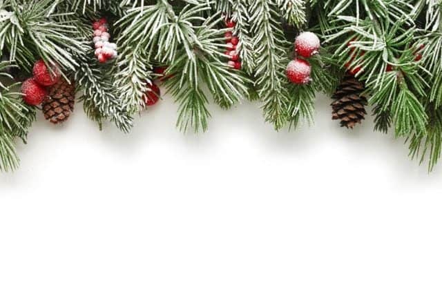 The 60 Most Downloaded Images in 2018 from Top Stock Photo Agencies Compared Adobe Stock Most Downloaded Christmas Tree Branches Background