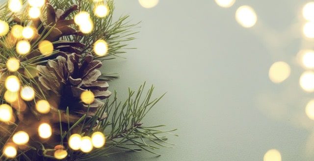 The 60 Most Downloaded Images in 2018 from Top Stock Photo Agencies Compared Adobe Stock Most Downloaded Christmas Tree Branch Lights