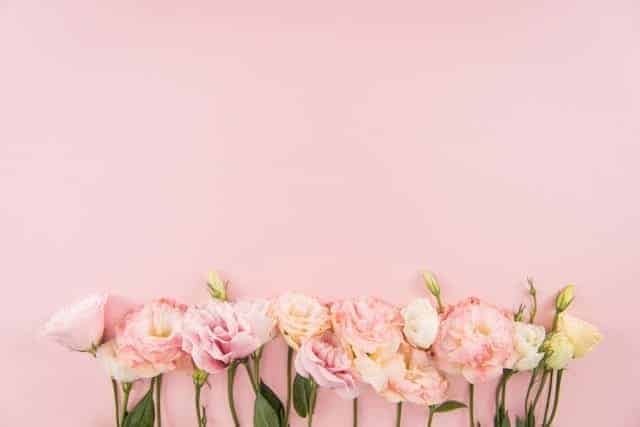 The 60 Most Downloaded Images in 2018 from Top Stock Photo Agencies Compared Depositphotos Most Downloaded Blooming Flowers Pastel