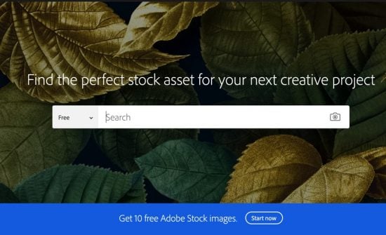 F8FFA758 F70C 4F90 A616 3AF665DA083E > Adobe Stock Pricing: How Much Are Adobe Stock Images? [[wpsm_custom_meta type=date field=year] Update]