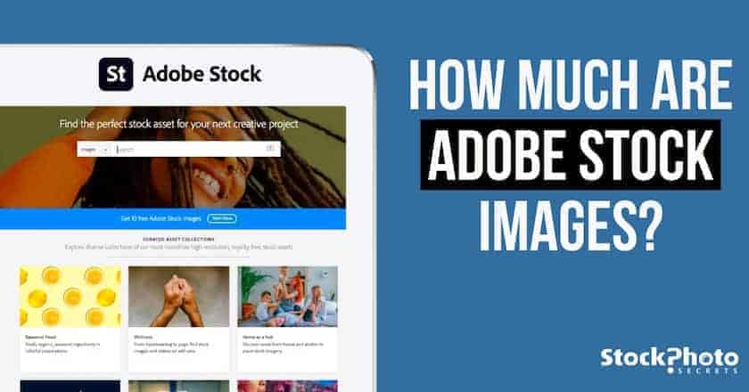 how much adobestock images > Adobe Stock Pricing: How Much Are Adobe Stock Images? [[wpsm_custom_meta type=date field=year] Update]
