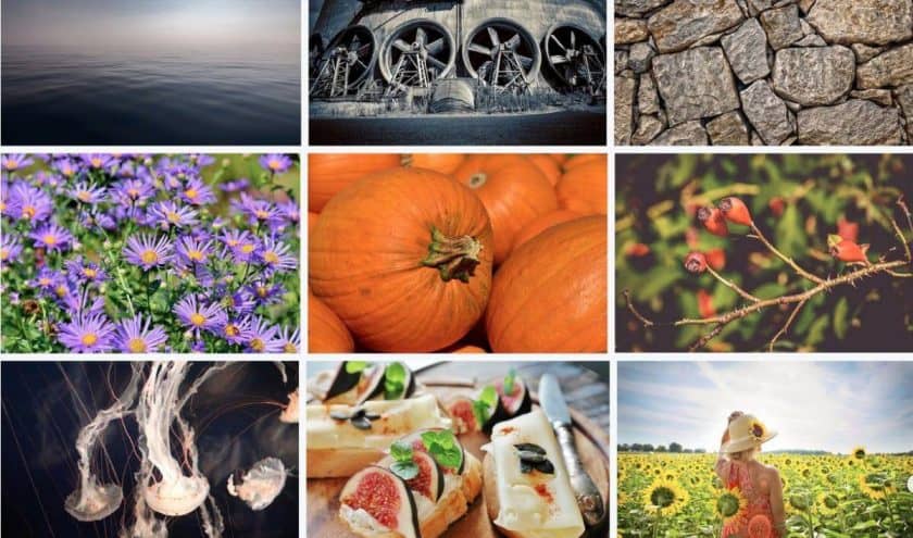 Pixabay Screenshot > The 27+ Best Free Stock Photo Sites in [wpsm_custom_meta type=date field=year]!