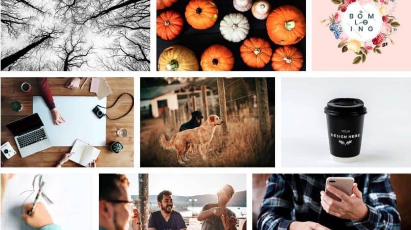 Rawpixel Screenshot > The 27+ Best Free Stock Photo Sites in [wpsm_custom_meta type=date field=year]!