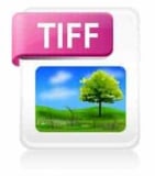What are TIFF Files, and which programs can open them?