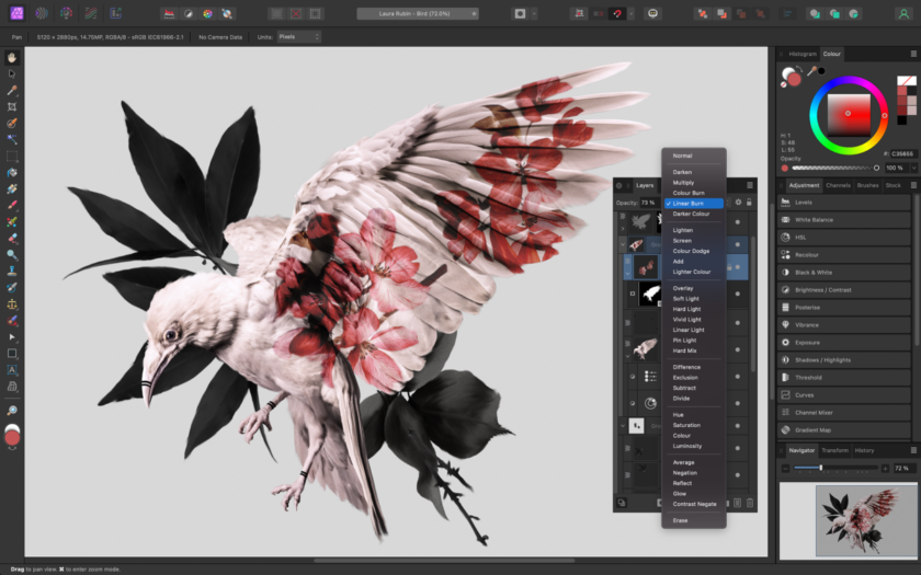 Affinity Photo Editor > Canva Acquired Affinity to Expand Offer for Pro Designers