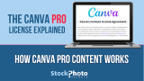 A Complete Guide to Canva Premium Licensing