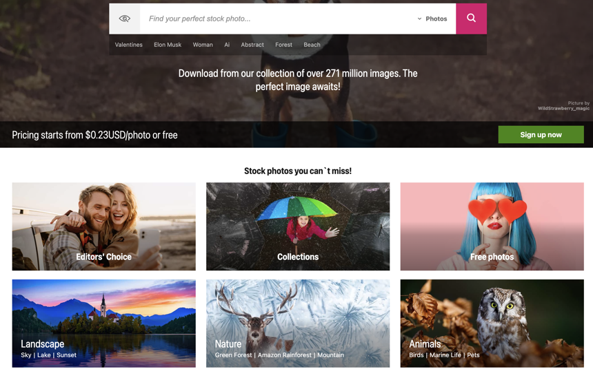 Understanding Dreamstime: Offers, Content and Features dt photos