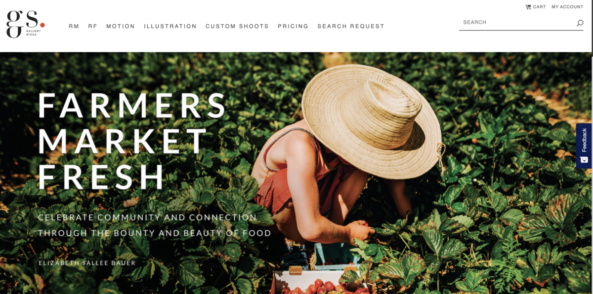 gallery stock homepage