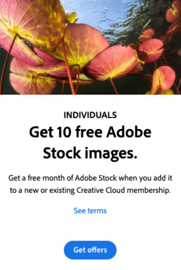 6 Stock Photo Sites Like Adobe Stock That You Must Know wwww.adobe.com adobe stock alternatives