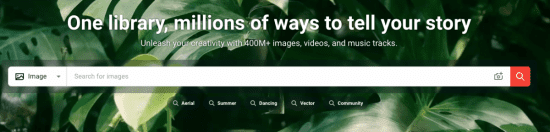 Stock Images Photos Vectors Video and Music Shutterstock > Shutterstock vs Adobe Stock: Which One is Best in [wpsm_custom_meta type=date field=year]