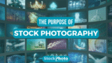 Why Stock Photos Matter: A Beginner’s Guide to Their Role and Value